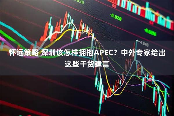 怀远策略 深圳该怎样拥抱APEC？中外专家给出这些干货建言