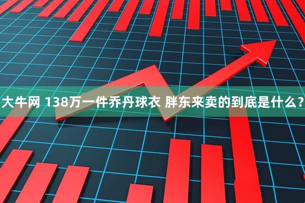 大牛网 138万一件乔丹球衣 胖东来卖的到底是什么？