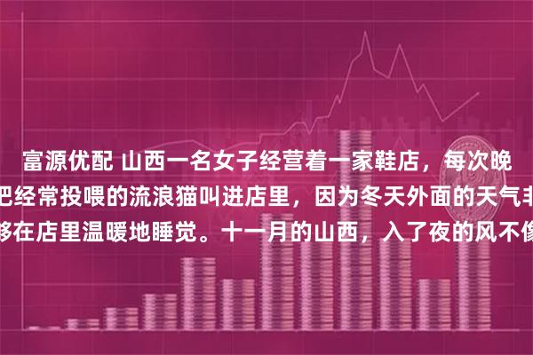 富源优配 山西一名女子经营着一家鞋店，每次晚上下班回家前，她都会把经常投喂的流浪猫叫进店里，因为冬天外面的天气非常冷，她希望小猫能够在店里温暖地睡觉。十一月的山西，入了夜的风不像是在吹，倒像是带着刀子往人的骨头缝里钻。尤其到了晚间八点过后，沿街商铺接连拉下卷闸门，萧瑟寒气裹着空寂的街巷，凉意